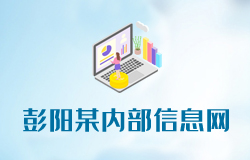 彭阳某内部信息网